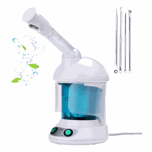 Elynoura™ MistGlow Facial Steamer