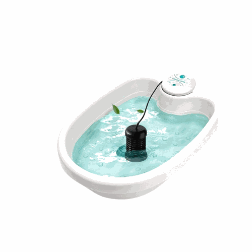 Elynoura™ IonPure Detox Foot Spa