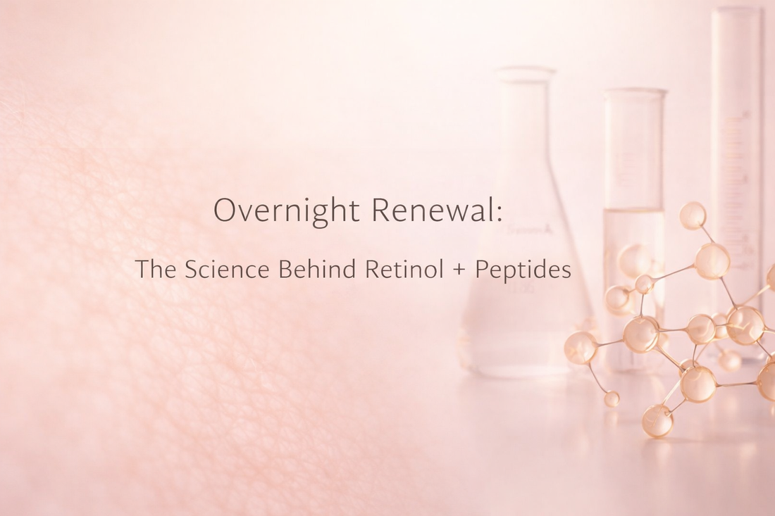 retinol peptide skin renewal diagram